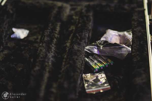 Bild von Fallen Up at Weberknecht - Interview, Reportage, Live