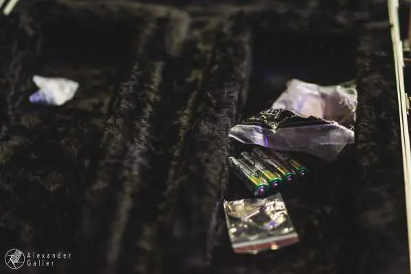 Bild von Fallen Up at Weberknecht - Interview, Reportage, Live