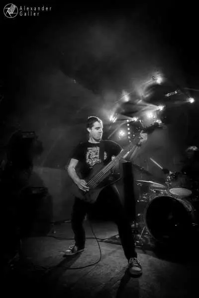 Bild von Fallen Up at Weberknecht - Interview, Reportage, Live