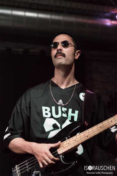 Bild von Spitting Ibex