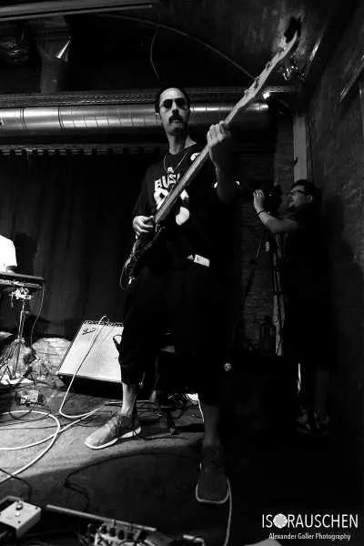 Bild von Spitting Ibex