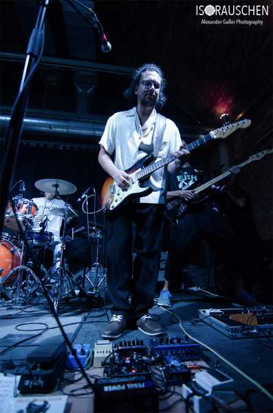 Bild von Spitting Ibex