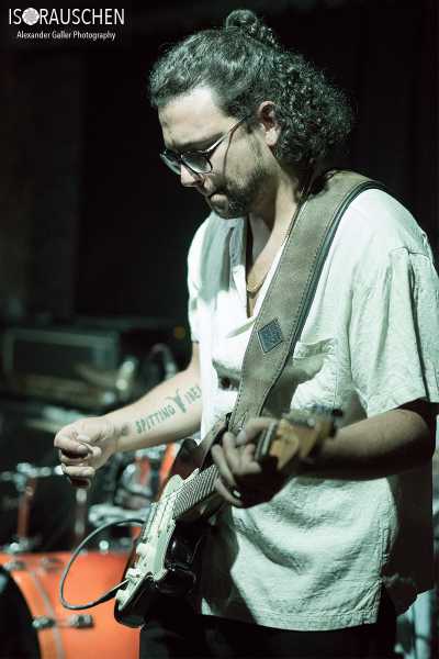 Bild von Spitting Ibex