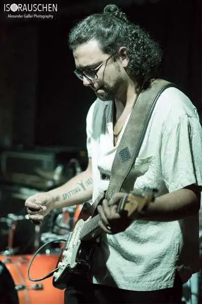 Bild von Spitting Ibex