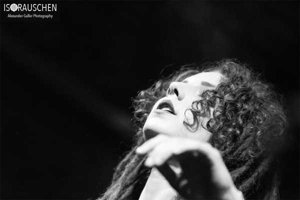 Bild von Spitting Ibex