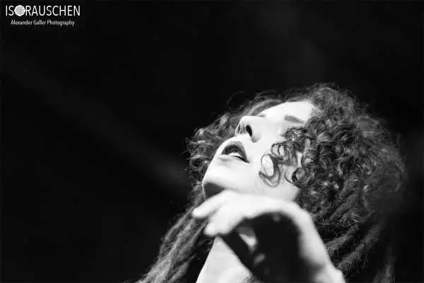 Bild von Spitting Ibex