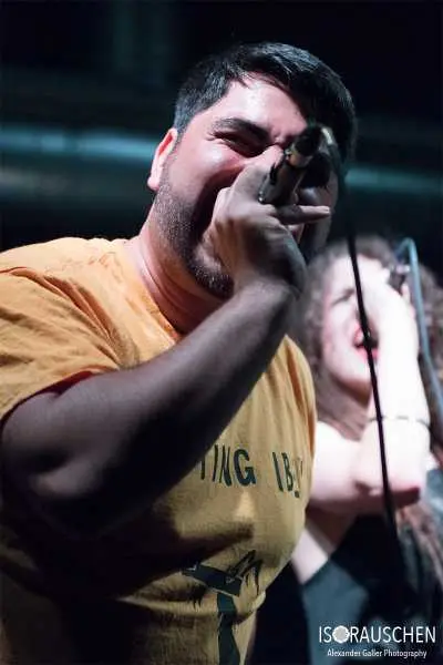 Bild von Spitting Ibex