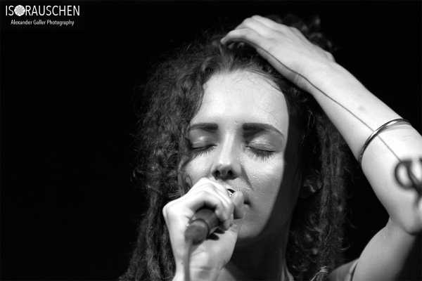 Bild von Spitting Ibex