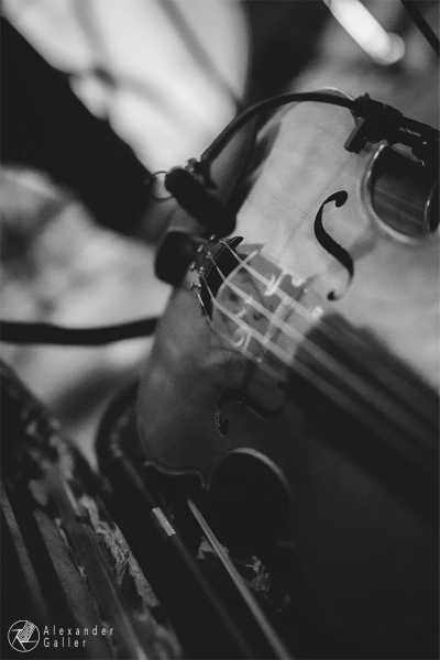 Bild von Alpine Dweller