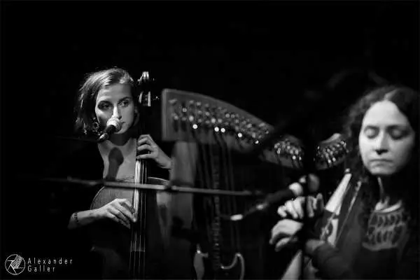 Bild von Alpine Dweller