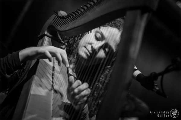 Bild von Alpine Dweller