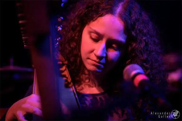 Bild von Alpine Dweller