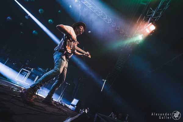 Bild von Krautschädl