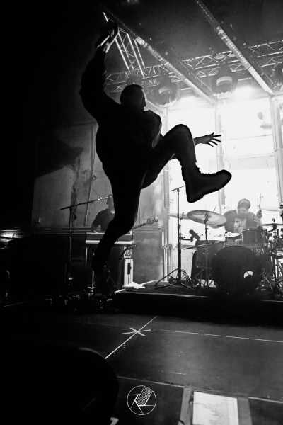 Bild von Antilopen Gang