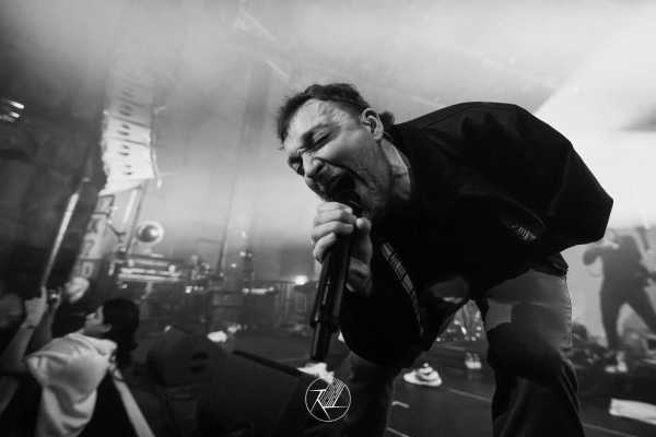 Bild von Antilopen Gang