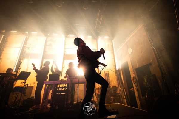 Bild von Antilopen Gang