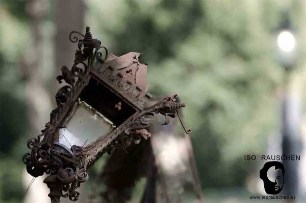 Bild von Friedhöfe Wiens