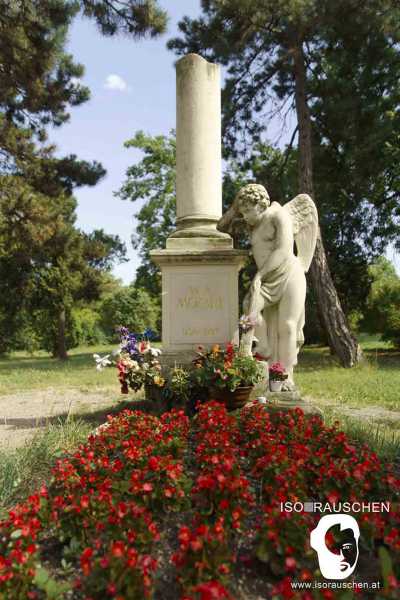 Bild von Friedhöfe Wiens