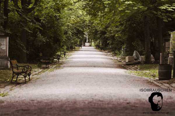 Bild von Friedhöfe Wiens