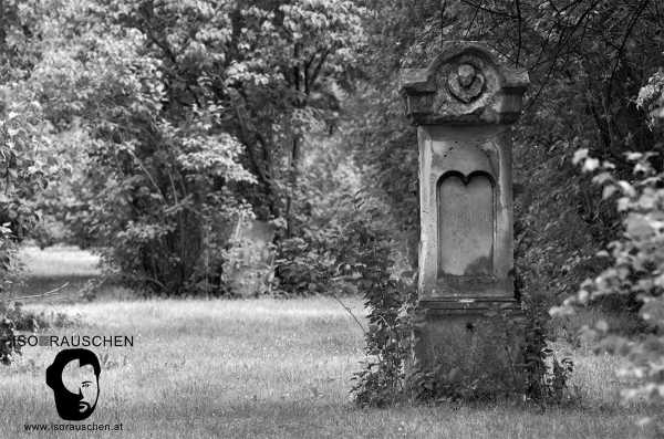 Bild von Friedhöfe Wiens