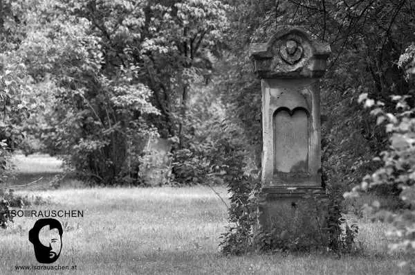 Bild von Friedh&ouml;fe Wiens