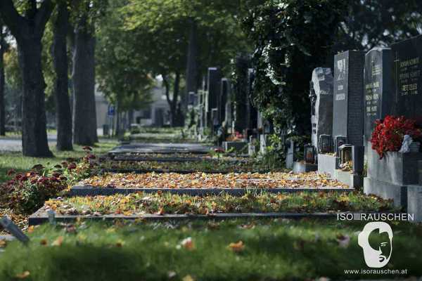 Bild von Friedhöfe Wiens