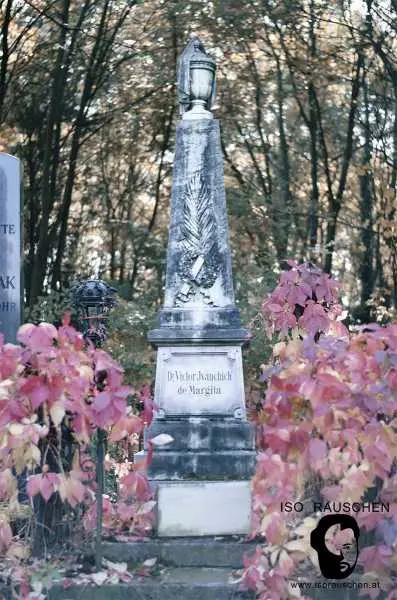 Bild von Friedh&ouml;fe Wiens