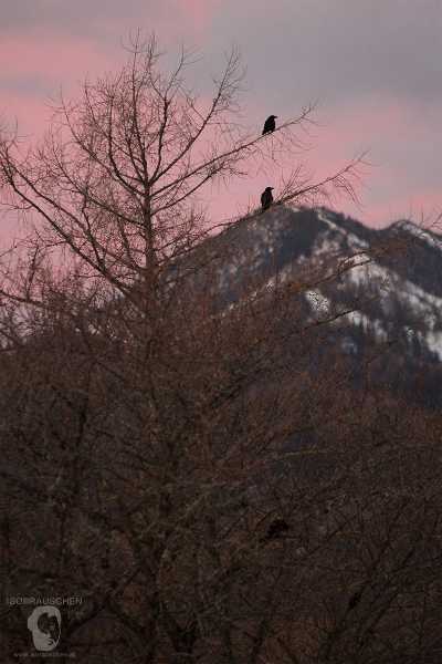 Frohe Weihnachten! Bild von Frohe Weihnachten!