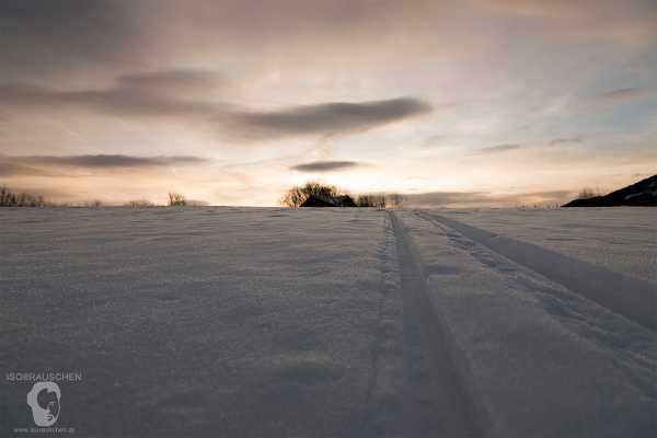Frohe Weihnachten! Bild von Frohe Weihnachten!