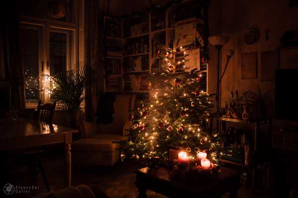 Frohe Weihnachten! Bild von Frohe Weihnachten!