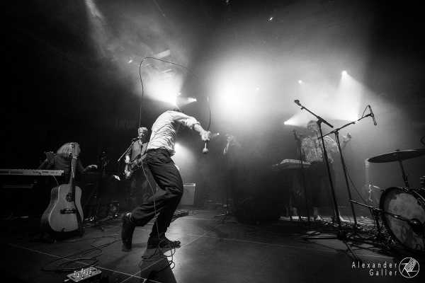 Bild von Fuzzman and The Singin Rebels