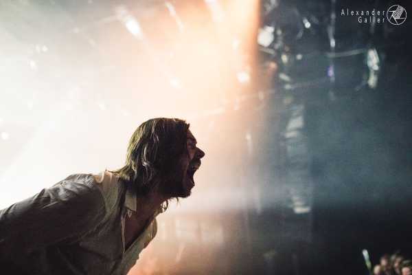 Bild von Fuzzman and The Singin Rebels