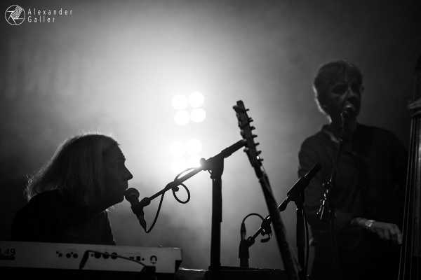 Bild von Fuzzman and The Singin Rebels