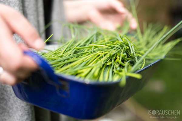 Bild von Grillen mal anders - Rubs, Marinaden und Mops