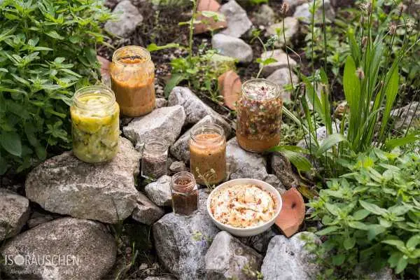 Bild von Grillen mal anders - Rubs, Marinaden und Mops