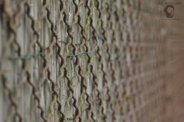 Bild von Helios 44-2