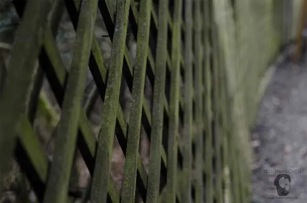 Bild von Helios 44-2