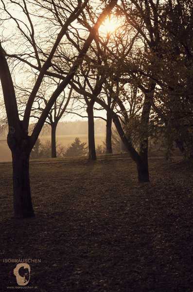 Bild von Herbst Spaziergang 