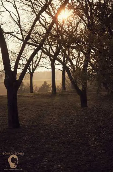 Bild von Herbst Spaziergang 