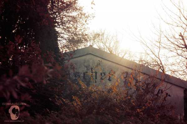 Bild von Herbst Spaziergang 