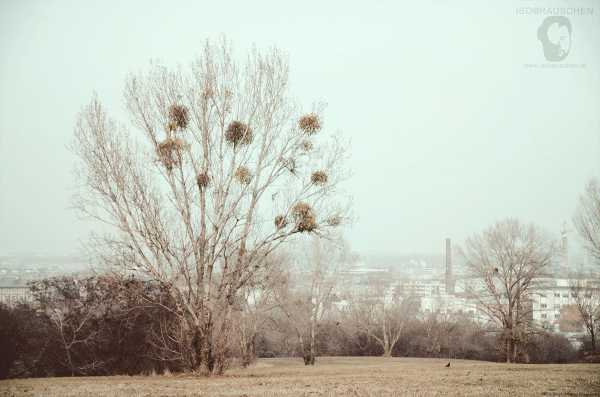 Bild von Herbst Spaziergang 