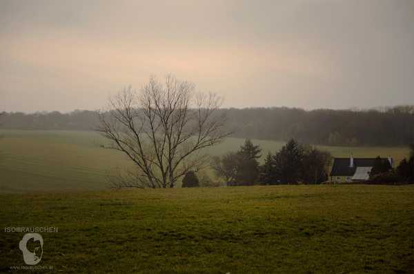Bild von Herbst Spaziergang 