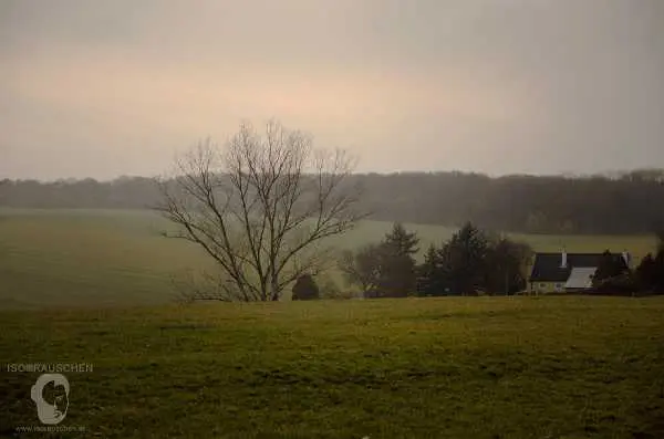 Bild von Herbst Spaziergang 