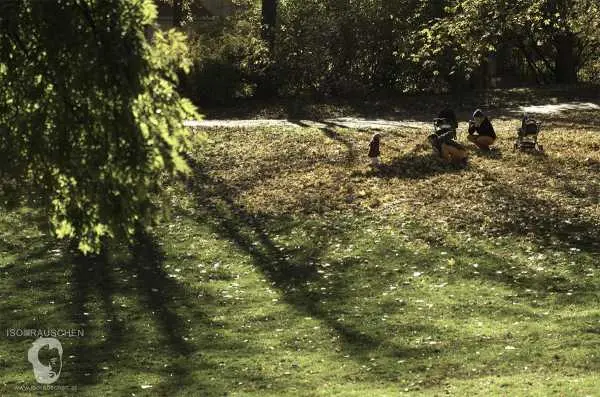 Bild von Herbst im T&uuml;rkenschanzpark
