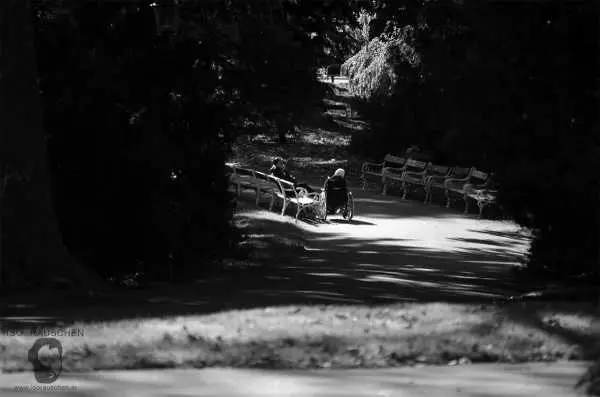 Bild von Herbst im T&uuml;rkenschanzpark