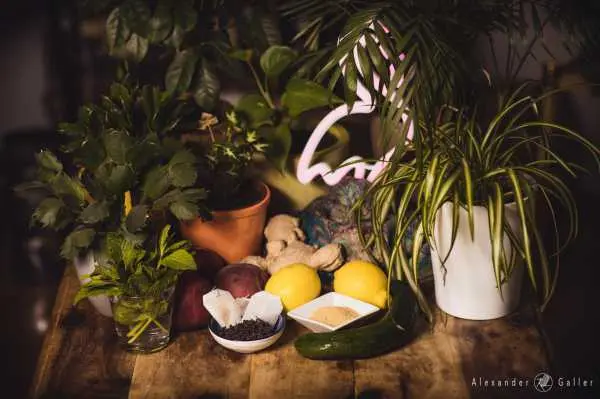 Bild von Homemade Summer Drinks