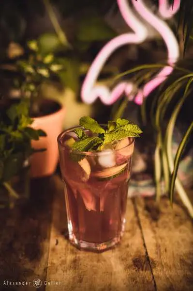 Bild von Homemade Summer Drinks