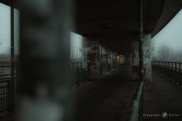 © Alexander Galler Bild von © Alexander Galler