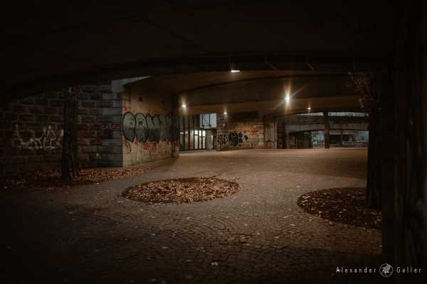 © Alexander Galler Bild von © Alexander Galler