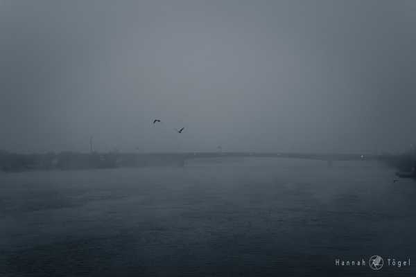 © Hannah Tögel Bild von © Hannah Tögel